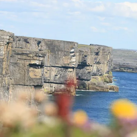 Aran Islands Camping & Glamping База отдыха 3*